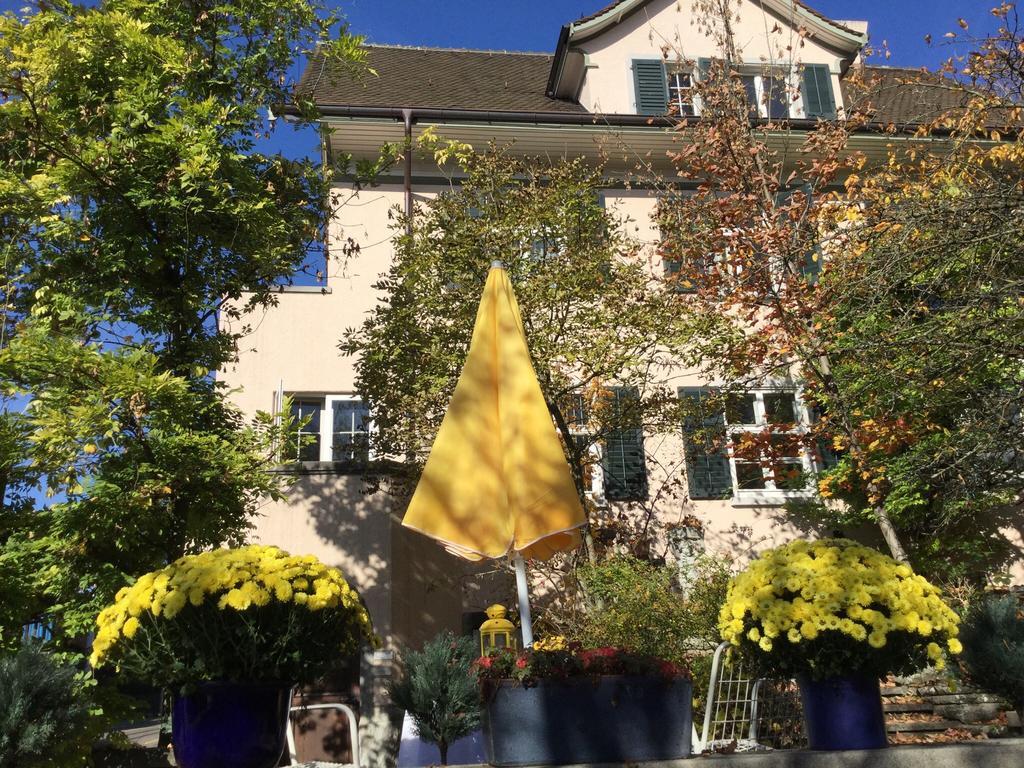Garden Studio Apartment Zürichberg Exterior foto