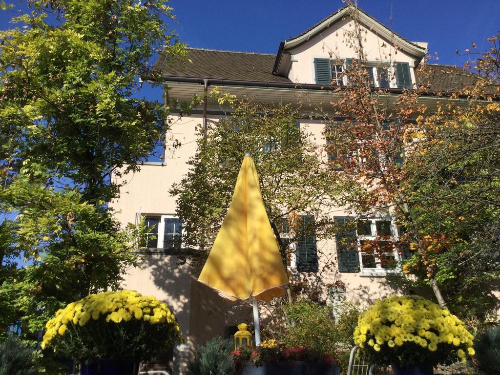 Garden Studio Apartment Zürichberg Exterior foto